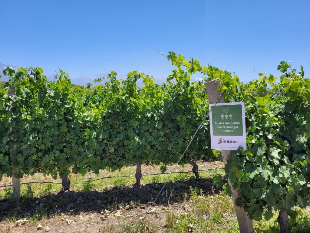 Buenas prácticas agrícolas en vitivinicultura